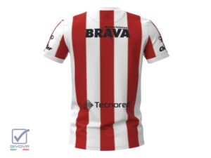 Camiseta Instituto titular 2024 original Givova