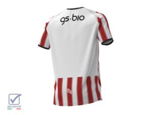 Camiseta instituto titular 2026