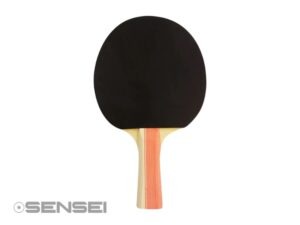 Paleta de Ping Pong Dribling Sensei 2 Stars