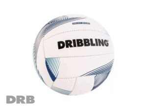 Pelota de volley clasica numero 5